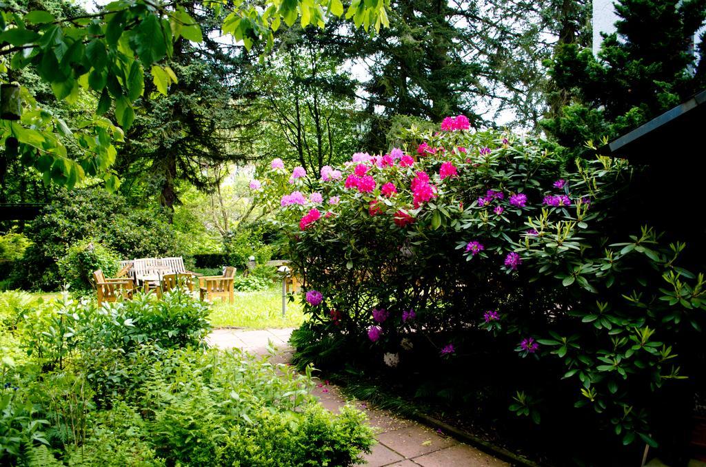 Haus Helvetia Bed & Breakfast Bad Orb Bagian luar foto