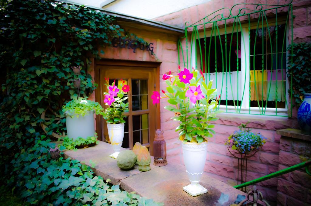 Haus Helvetia Bed & Breakfast Bad Orb Bagian luar foto